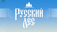 Промо-сайт для алкогольного бренда «Русский лес»